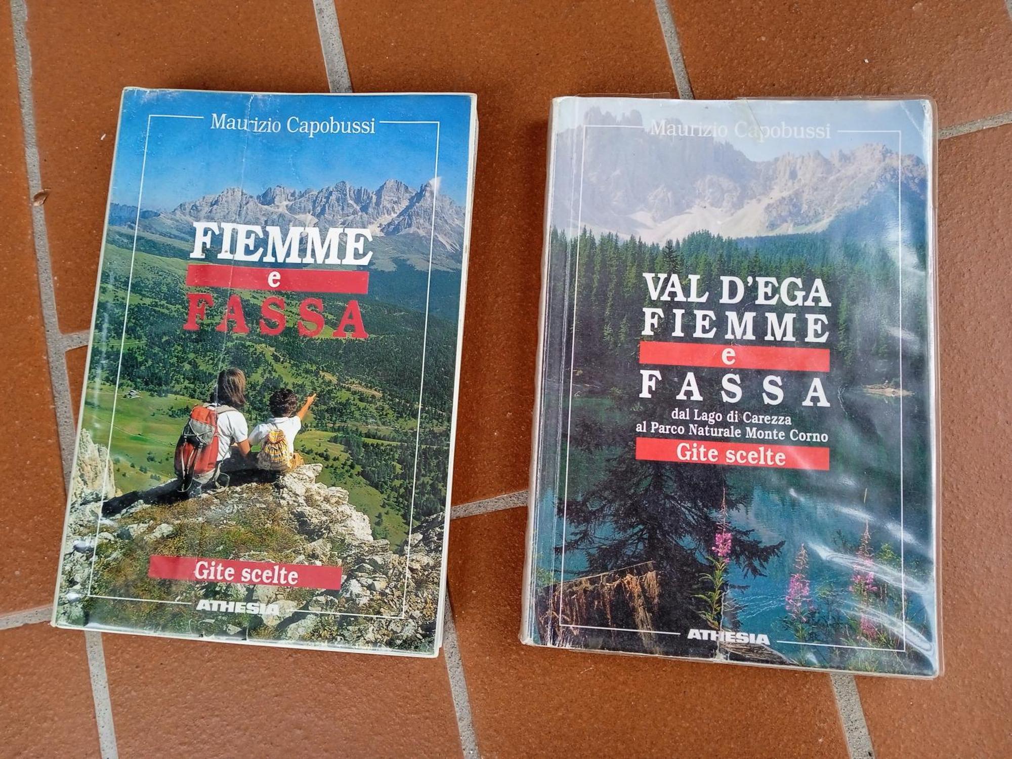 Appartamento Tiziana Val Di Fiemme Carano  Exterior foto