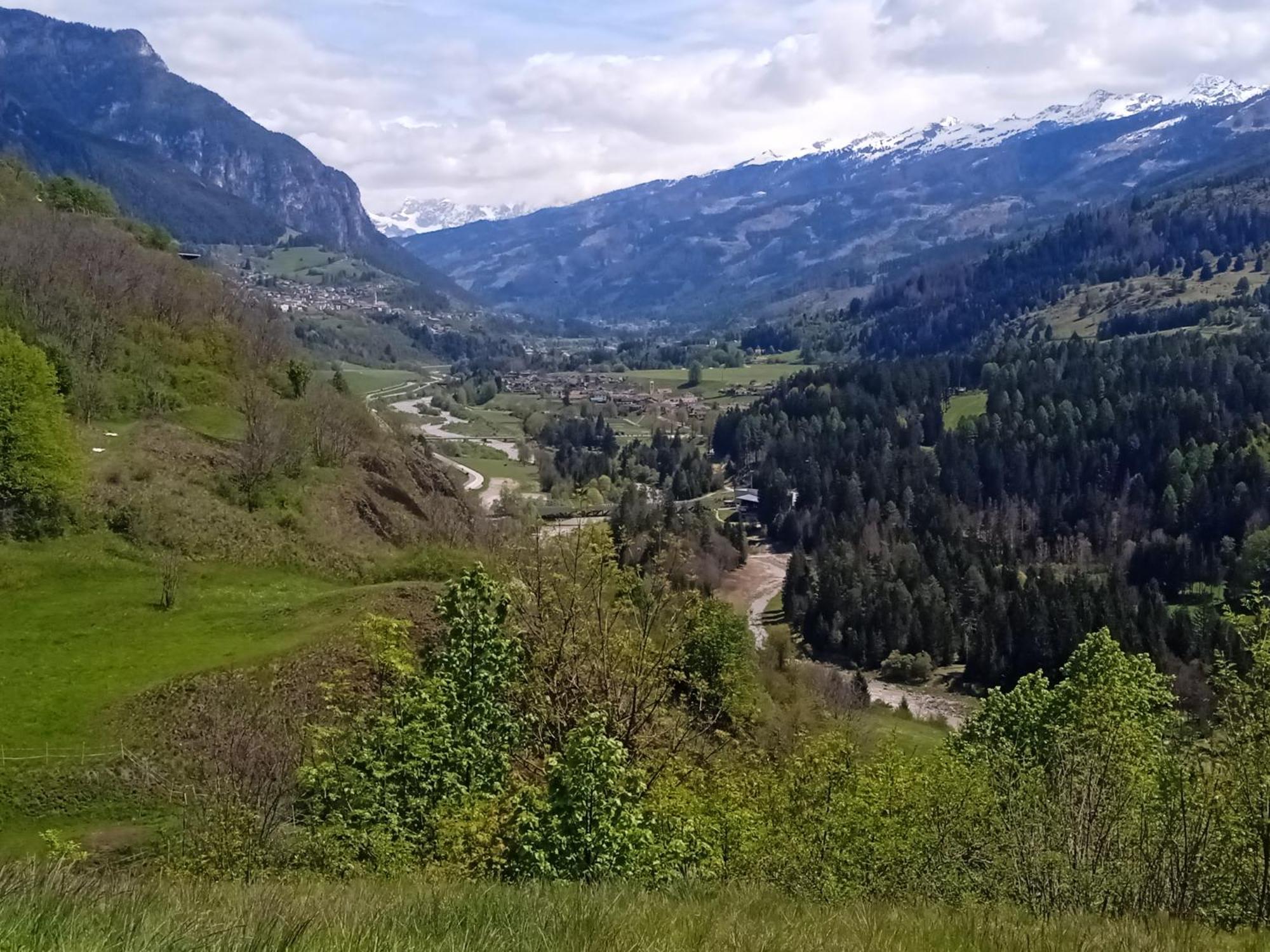 Appartamento Tiziana Val Di Fiemme Carano  Exterior foto