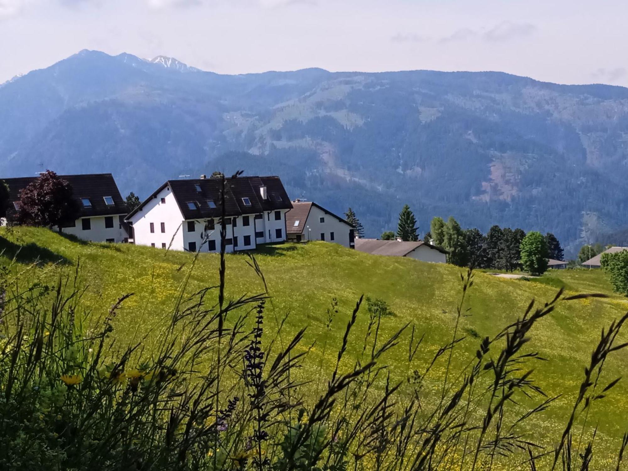 Appartamento Tiziana Val Di Fiemme Carano  Exterior foto