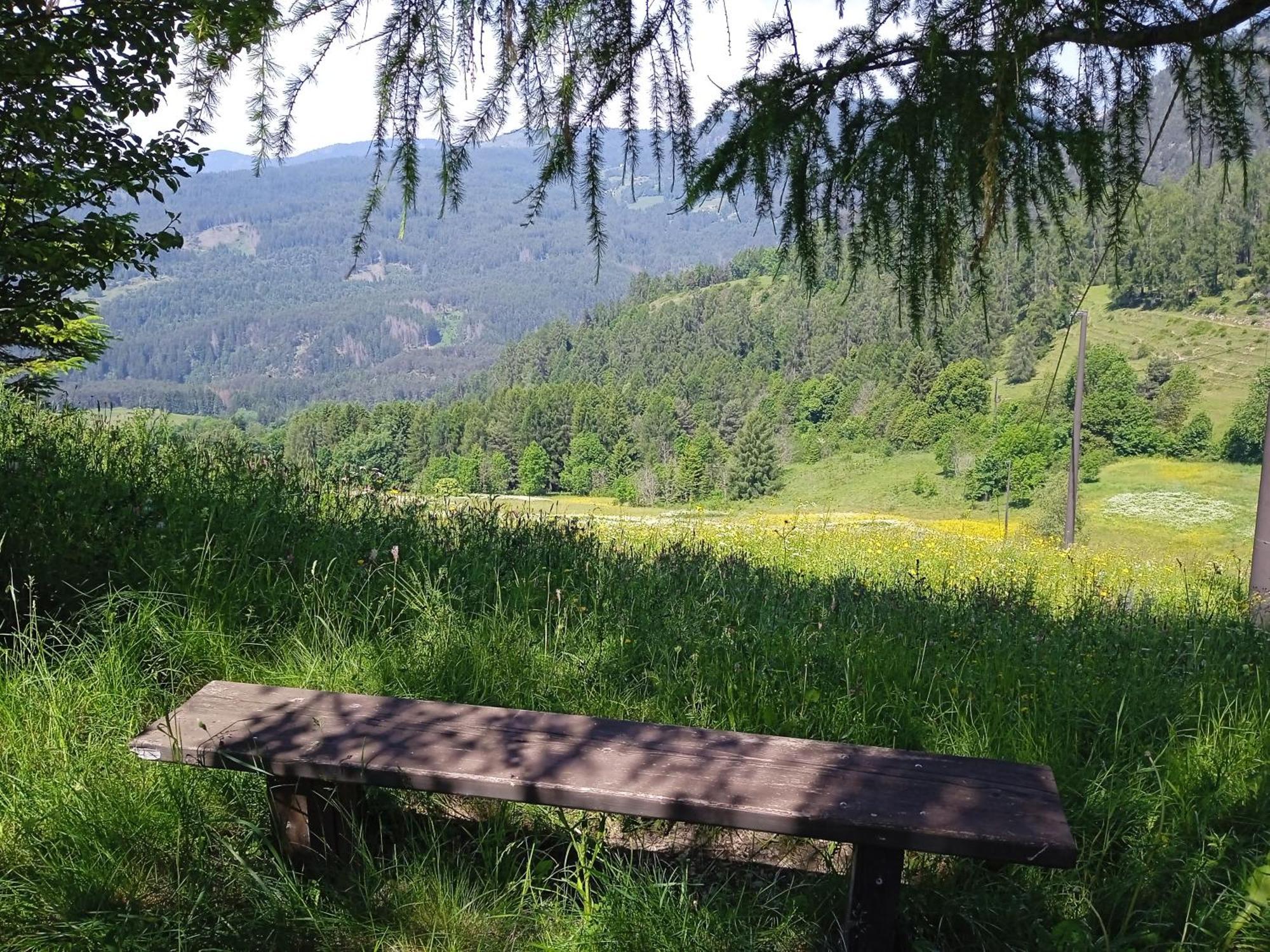 Appartamento Tiziana Val Di Fiemme Carano  Exterior foto