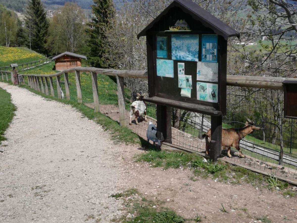 Appartamento Tiziana Val Di Fiemme Carano  Exterior foto