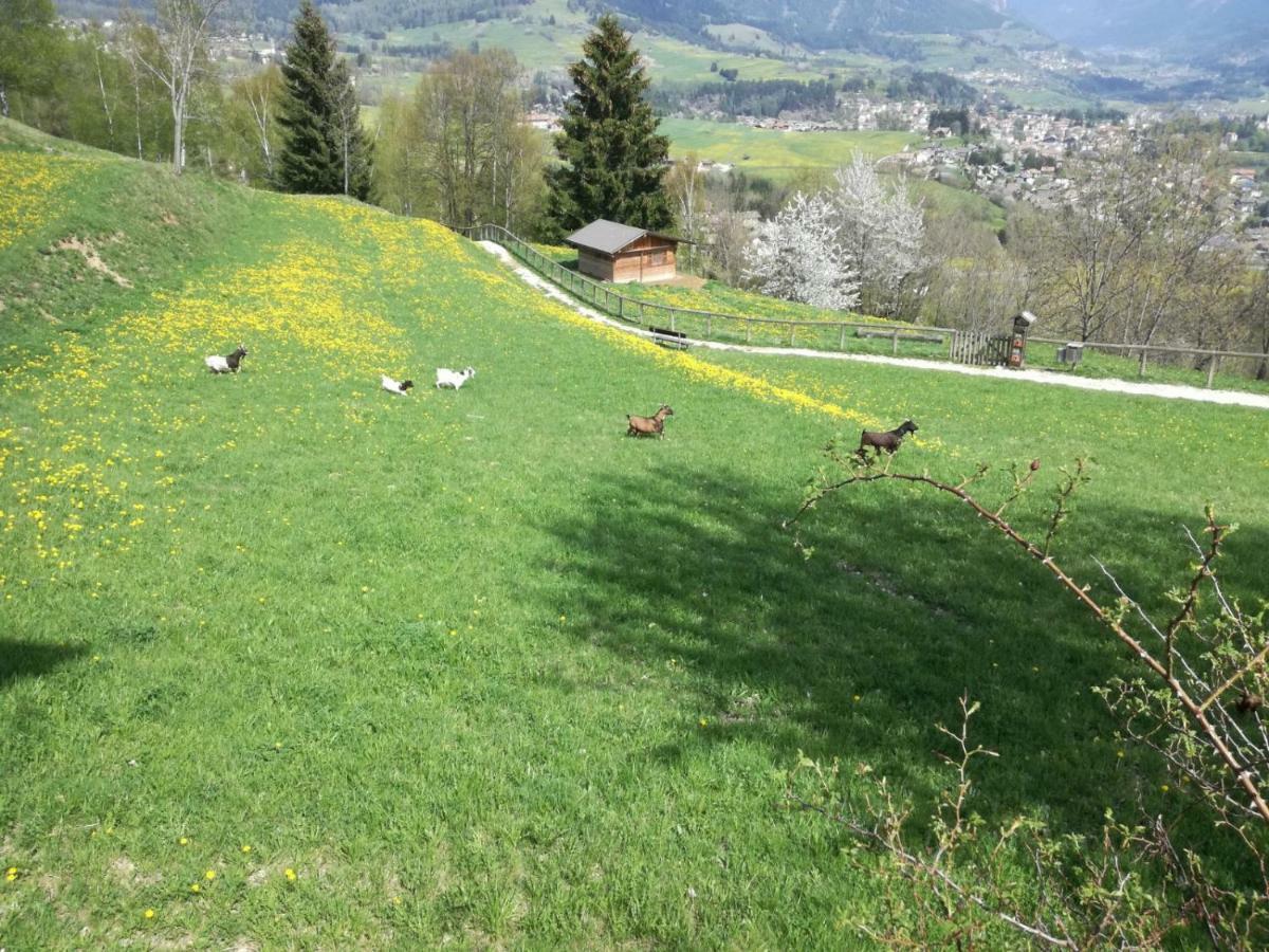 Appartamento Tiziana Val Di Fiemme Carano  Exterior foto